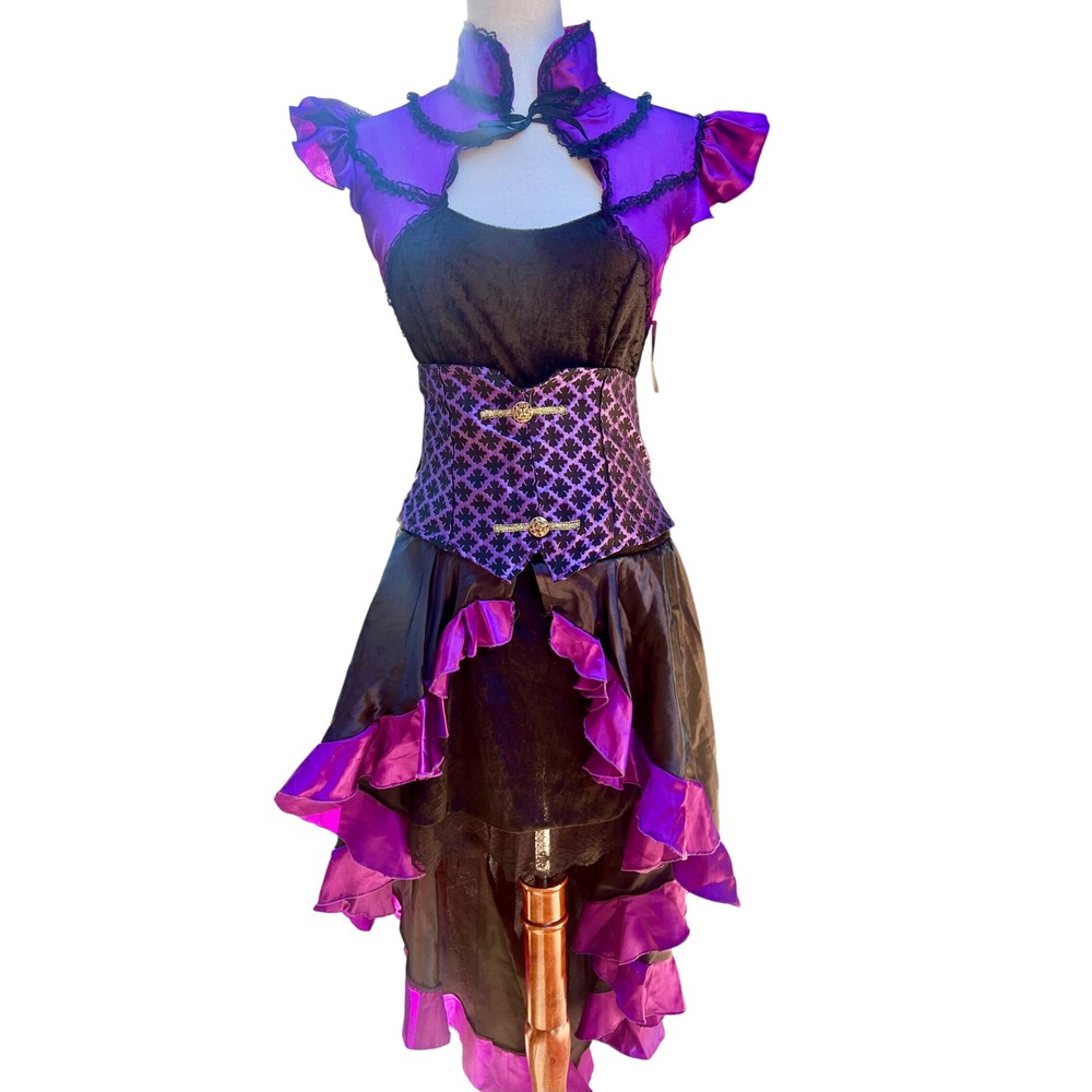 Vtg Kmart Gothic Victorian Witch Steampunk Ruffle Costume Dress Purple Black